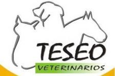 Fotografía de Teseo Veterinarios Fotografía de Teseo Veterinarios
